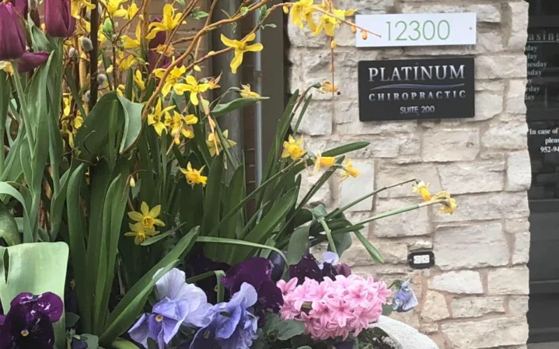 Chiropractic office in eden prairie